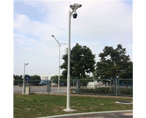 山南道路监控杆-LB-05