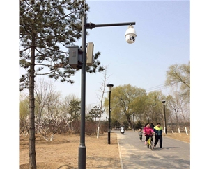 山南路灯监控杆-LB-03